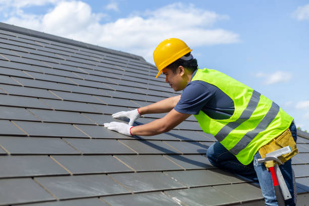 Best Roof Leak Repair  in Burlington, ND