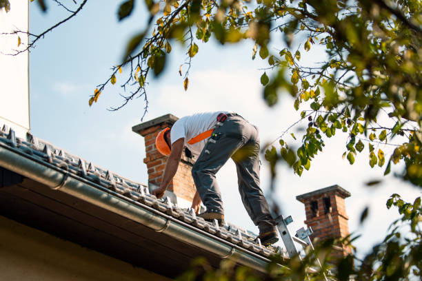 Best Sealant for Roof  in Burlington, ND