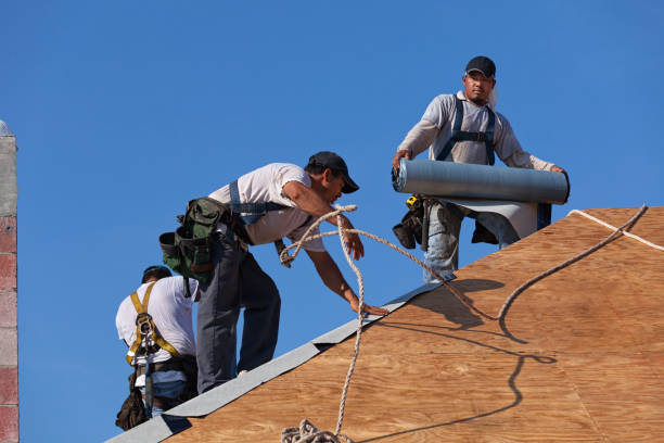 Best New Roof Installation  in Burlington, ND